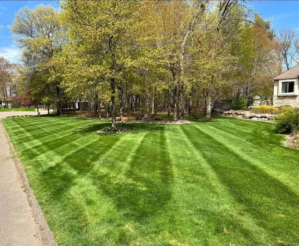 Lawn Care Services image