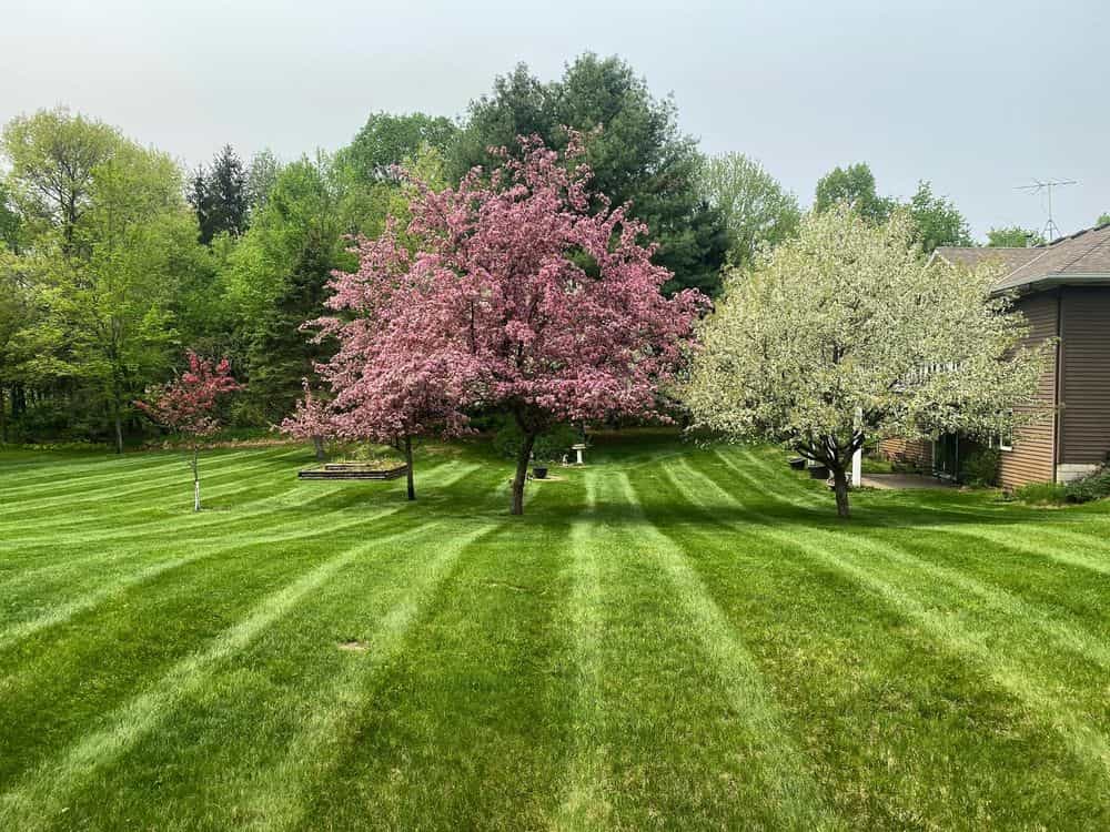 Hero image for Prestige Lawn and Landscape