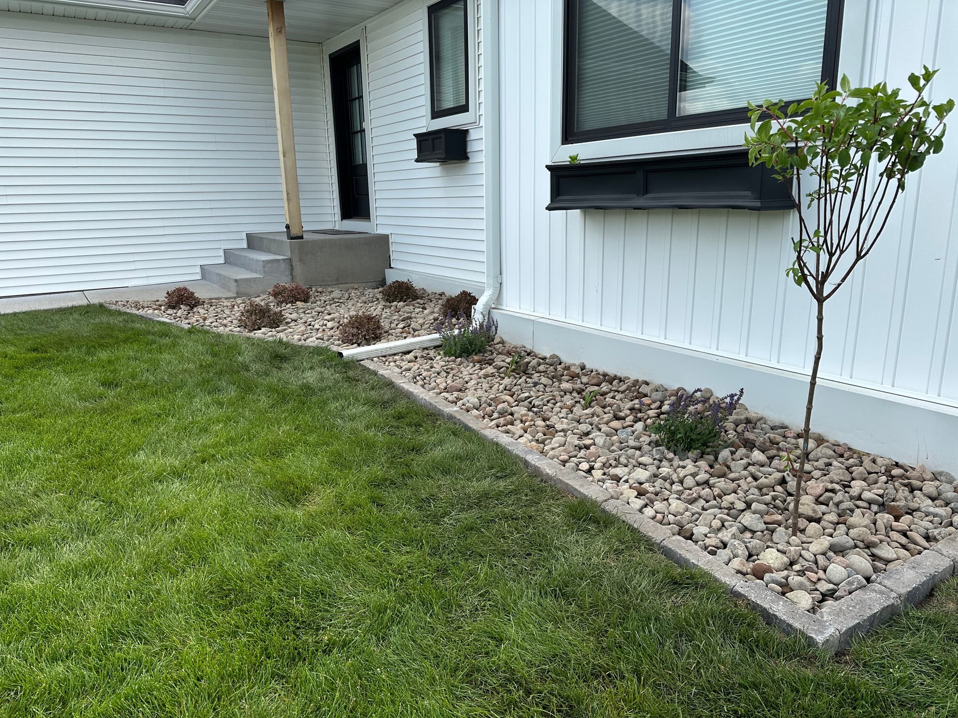 Gallery photos for Stunning Front Yard Landscape Installation: Image #3