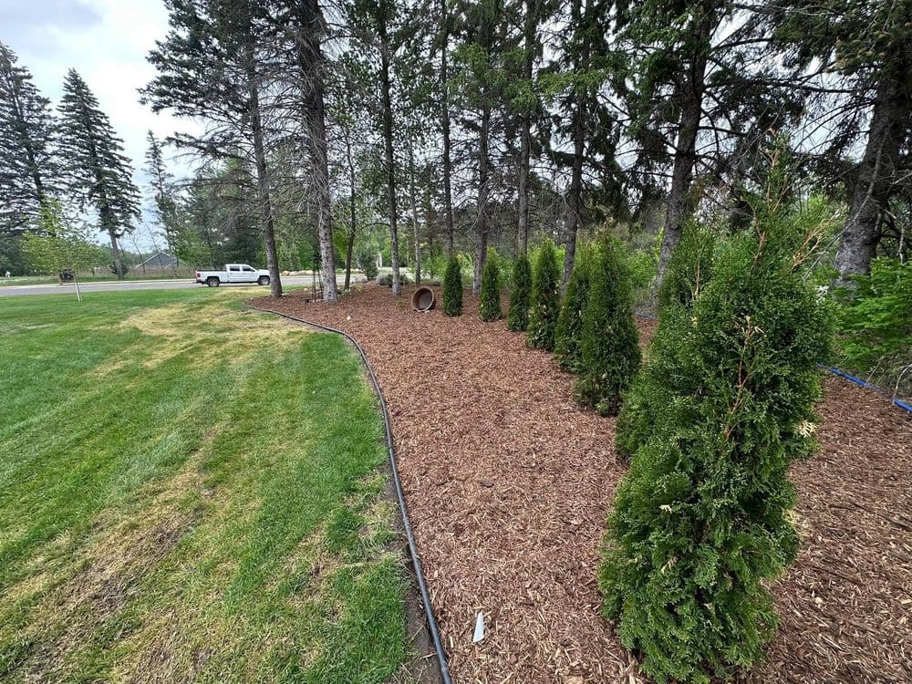 Lush Landscape Installation in Forest Lake image
