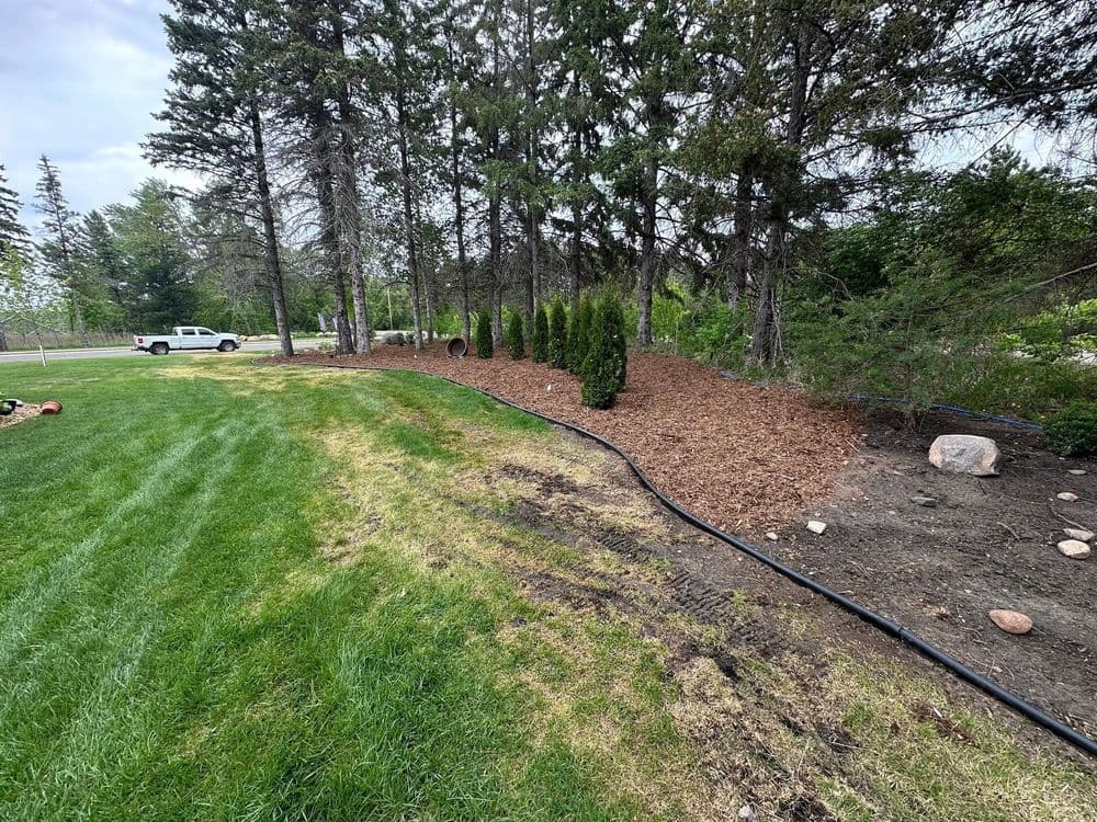 Gallery photos for Lush Landscape Installation in Forest Lake: Image #5