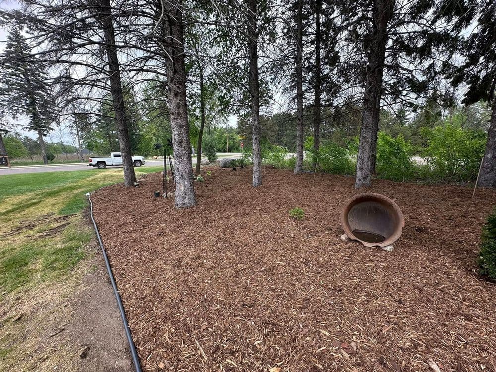 Gallery photos for Lush Landscape Installation in Forest Lake: Image #2