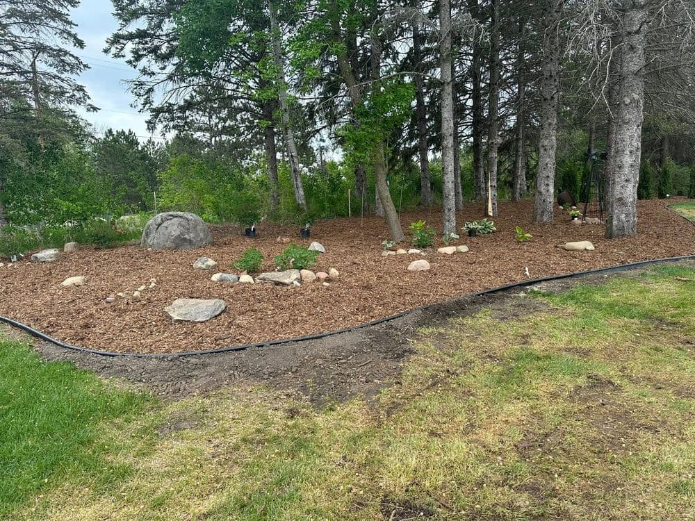 Gallery photos for Lush Landscape Installation in Forest Lake: Image #3
